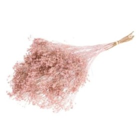 F.SECA, Broom bloom pomo rosa palido CRAFT