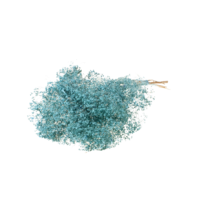 F.SECA, Broom bloom pomo azul misty CRaft