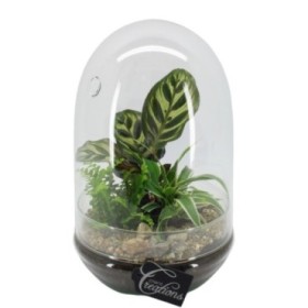 CENTRE PLANTA VARIADA EGG SMALL D17 H30