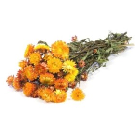 F.SECA, Helichrysum NARANJA CRAFT