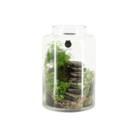 TERRARI PLANTA MINI D17 H25 Landscape