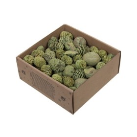 LEUCODENDRON MIX VERDE CAJA 640gr