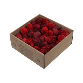 LEUCODENDRON MIX ROJO CAJA 640gr