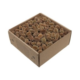 CASURINA CAJA 430 gr natural