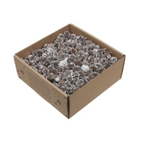 CASURINA PUNTAS BLANCAS CAJA 430 gr