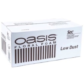 OASIS SEC PASTILLA 23X11X8cm. (caixa x20u.)