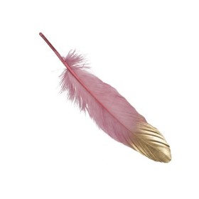 PLUMAS ROSAS 24uni 18-20 cm