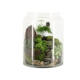 TERRARI PLANTA MINI D22 H27 Landscape