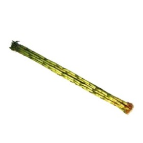 BAMBU  canyes  80cm.