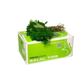 VERDES, SALAL FERN TIPS IMPORT