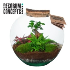 TERRARI PL MINI DECORUM CONCEPTS D27 Moon