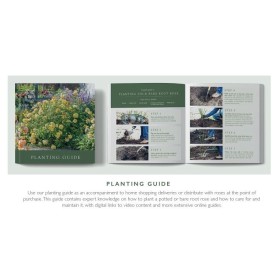 CUSTOMER PLANTING GUIDE - ENGLISH VERSION