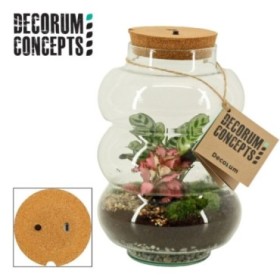 TERRARI PL MINI DECORUM LED USB D17 Pluto Medium