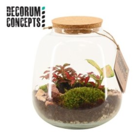 TERRARI PL MINI DECORUM CONCEPTS D19 Hyperion