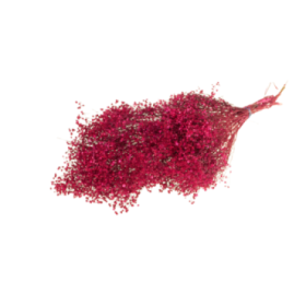 F.SECA, Broom bloom pom cerise CRAFT