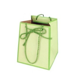 BOLSA CARTON VERDE 12/12X15/15XH18 10U EASY