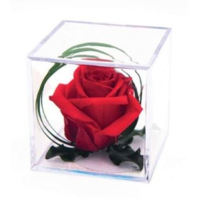 ROSA ROJA DECO CAIXA MELCHOR UNIDAD 8X8X8CM