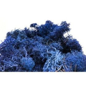 MOLSA PRESERVADA BLAU FOSC 500gr