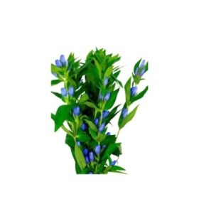 FLOR, GENTIANA 70cm x10 azul